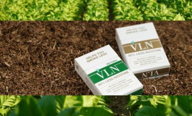 22nd Century sells hemp/cannabis business and tightens focus on VLN